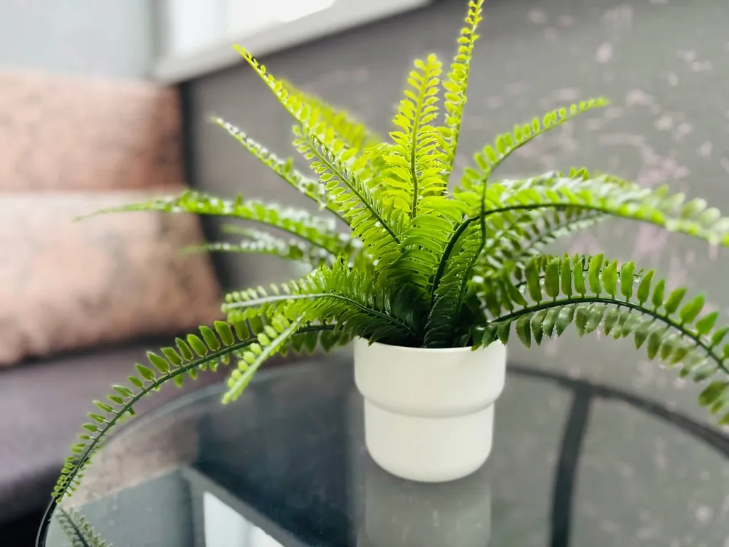 Стильная и просторная квартира в Заводском