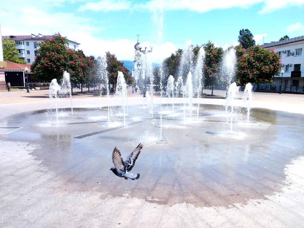 Уютная квартира с лучшим видом в городе