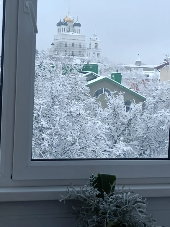 Квартира с видом на Троицкий Собор — аренда посуточно в Псков