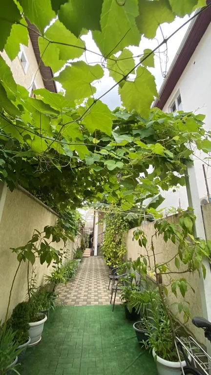 Просторная студия-комната в Олимпийском парке