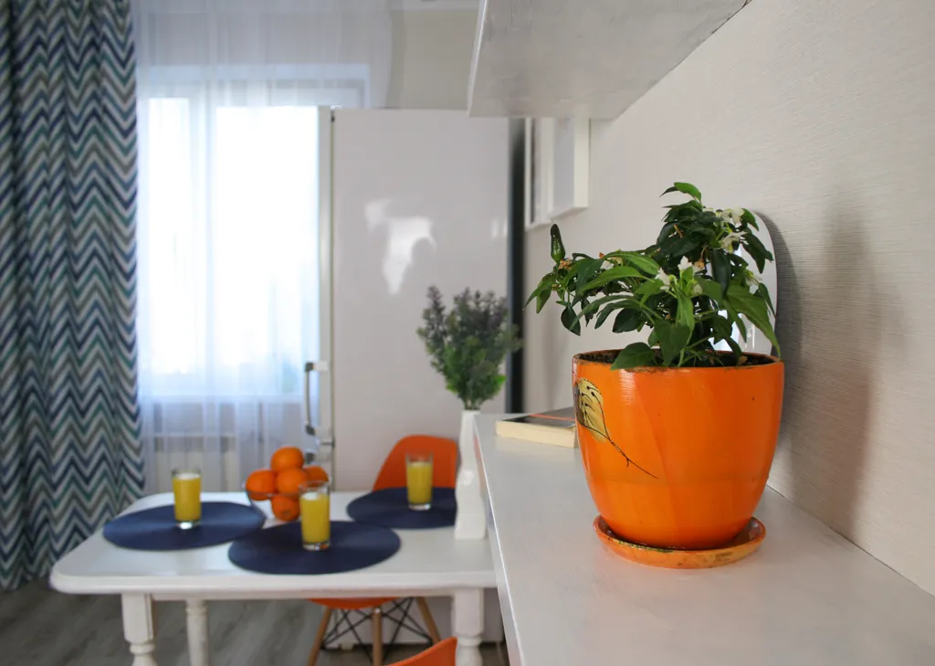 Квартира Отличная квартира в отличном месте — Калининград