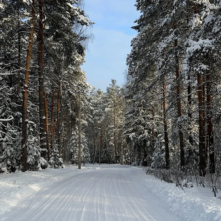 Домик в Соснах с баней и горячими ваннами Cube с баней