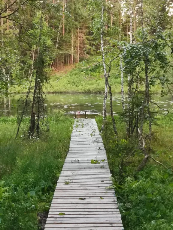 Дом на два номера в Фортуне