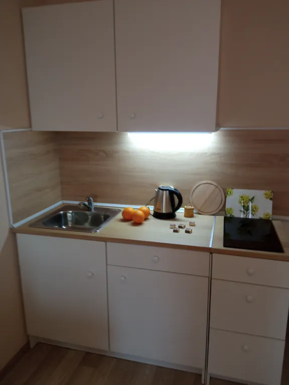 Студия с видом на пруд