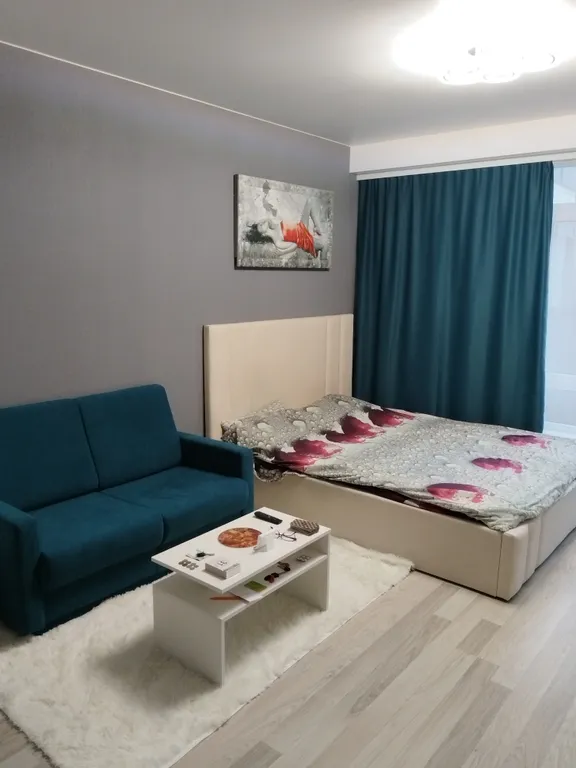 Квартира рядом с Олимпийским парком