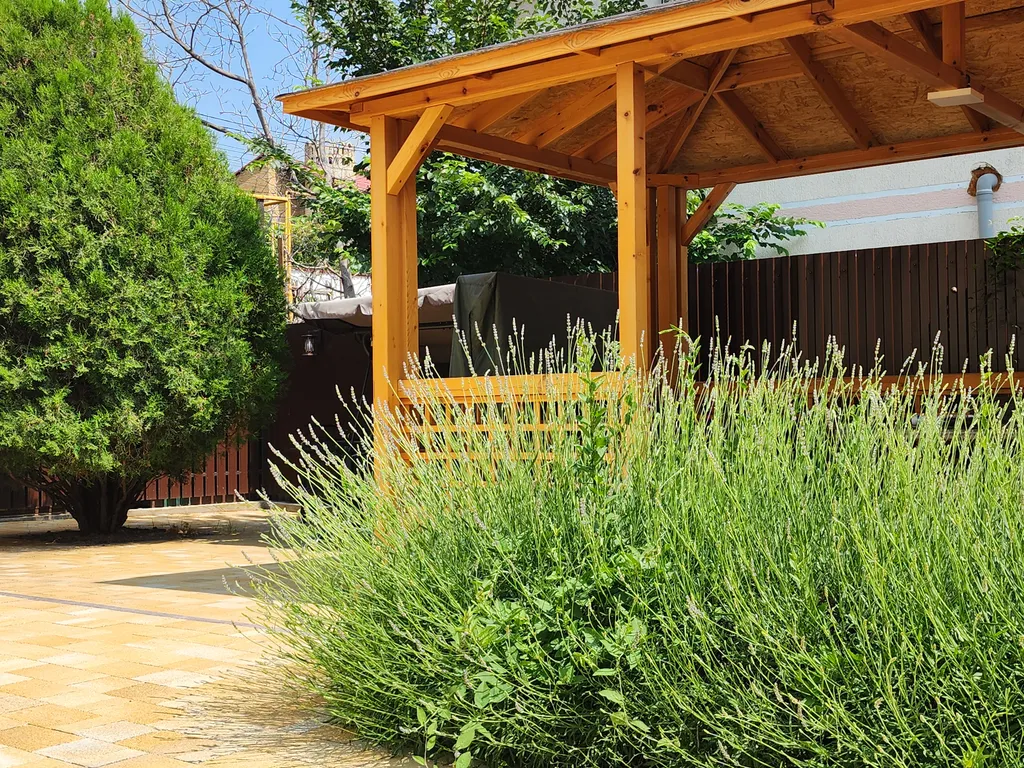 Дом с двором