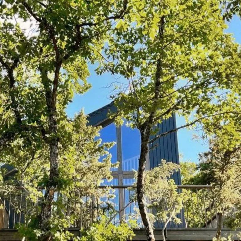 Домик в лесу Шули