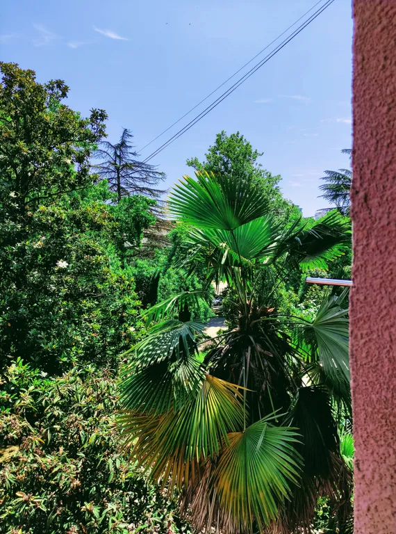 Квартира Прекрасная квартира премиум класса в самом центре — Сочи