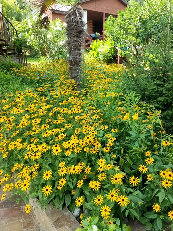 Коттедж 2-комнатный Дом — Сочи