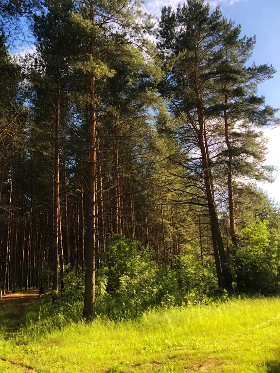 Дом с русской баней и горячей купелью