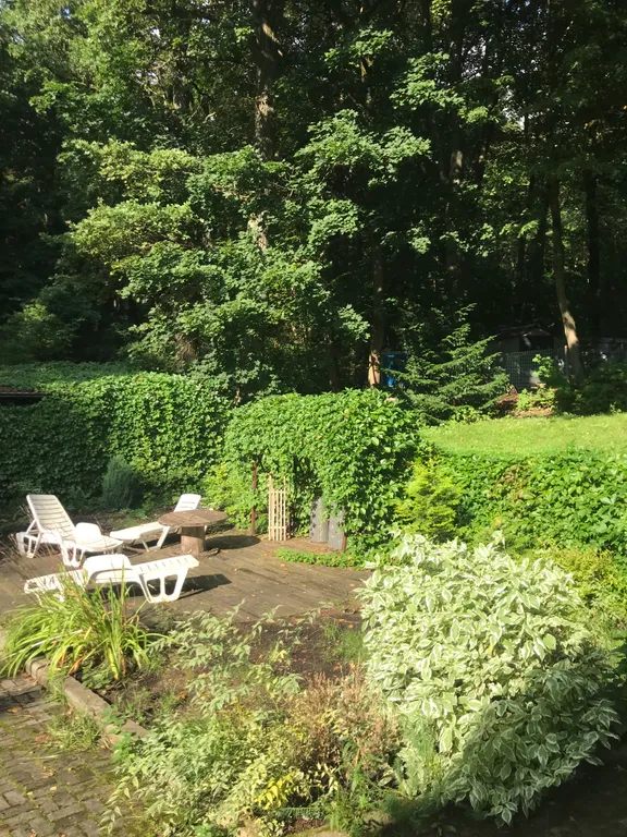 Лесная резиденция