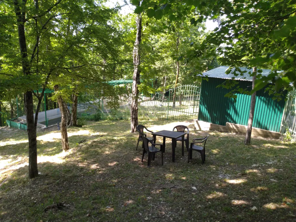 Бревенчатый дом в лесу с бассейном