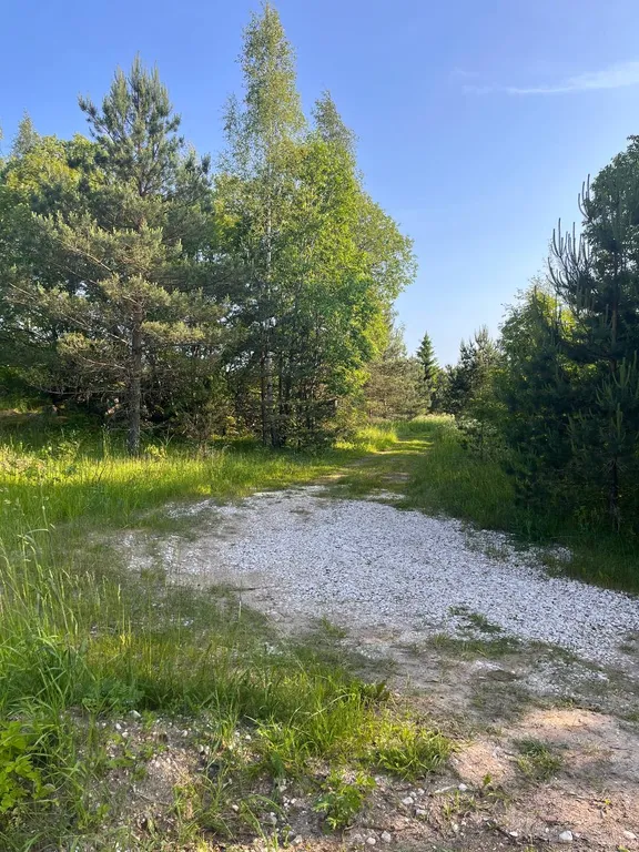 Гостевой домик на хуторе Керино