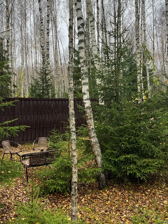 Коттедж Комфортный загородный дом с сауной вблизи заповедника — Семеновское