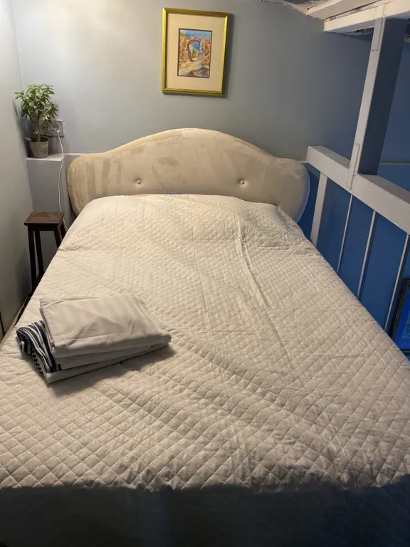 Можжевеловая роща