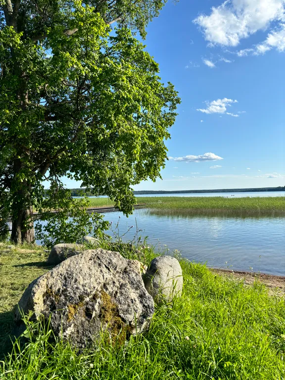 Домик с панорамным окном рядом с озером и видом на лес
