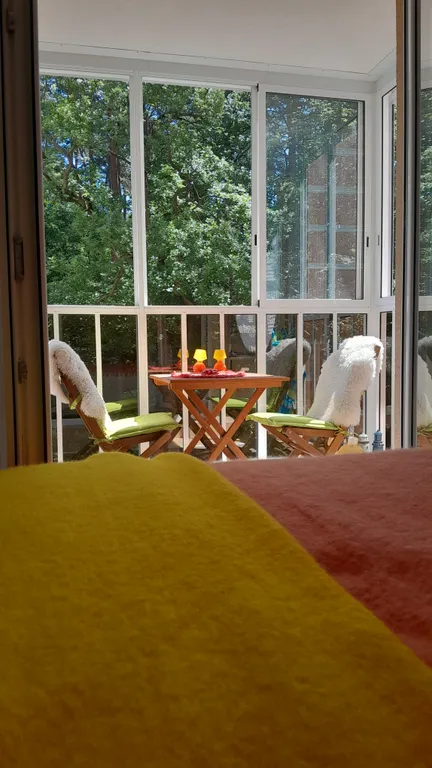 Квартира Квартира Звук тишины — Светлогорск