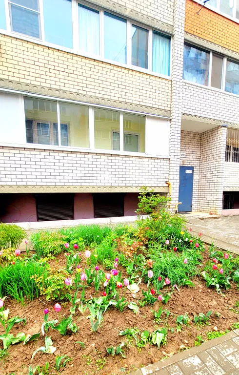 Комфортный Оазис