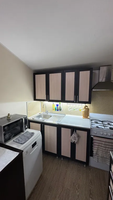 Квартира 1-комнатная Квартира — Сириус