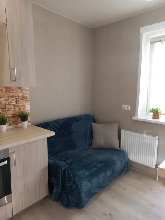 Большая, солнечная студия с перегородкой