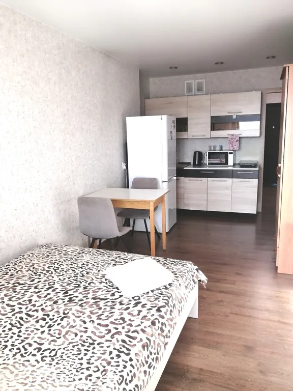 Уютная квартира - студия в центре