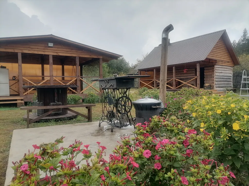 Домик в Бузулукском бору с баней и выходом в лес