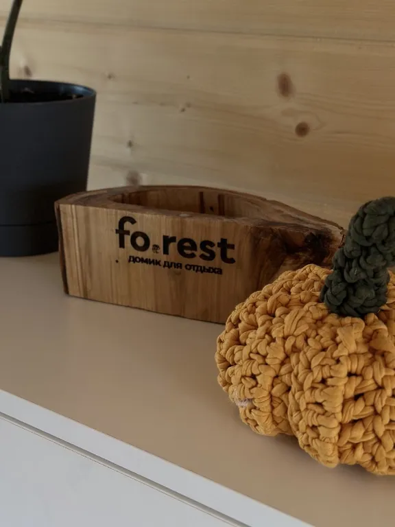 Дом с панорамными окнами с видом на лес