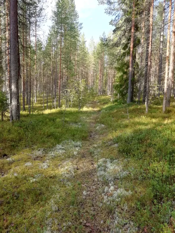 Домик для отдыха в Карелии