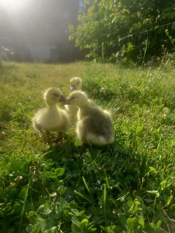 Уютный дом с хаммамом, баней и камином "У Кузьмича"