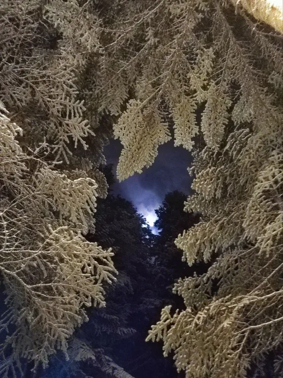 Коттедж 1-комнатный Дом — Архыз