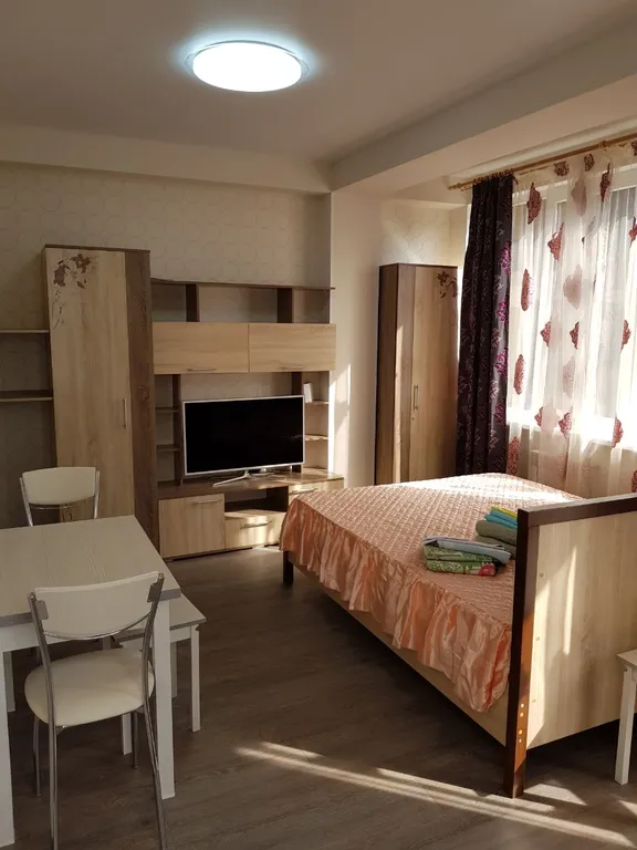 Квартира 1-комнатная Квартира — Сириус