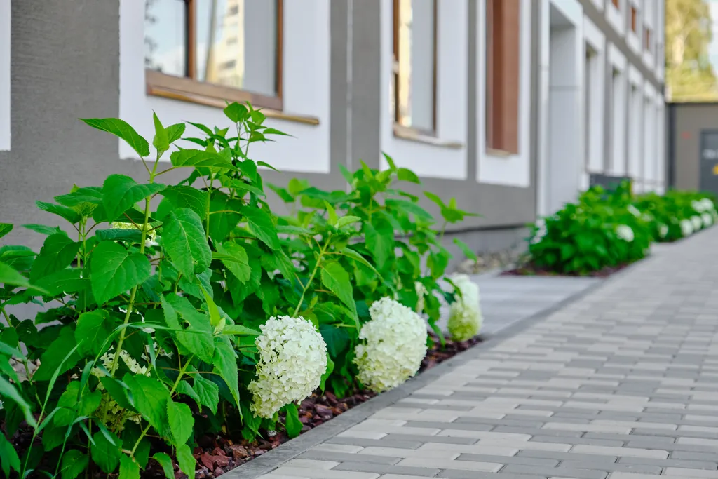 Квартира 1-комнатная Квартира — Екатеринбург