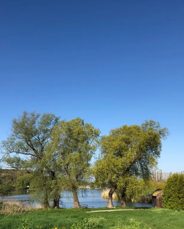 Гостевой дом арт-резиденции Маскага