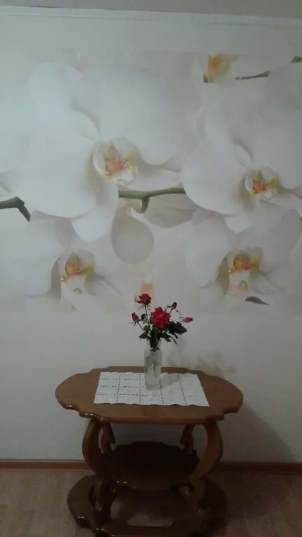 Уютная однокомнатная квартира с зеленым двором