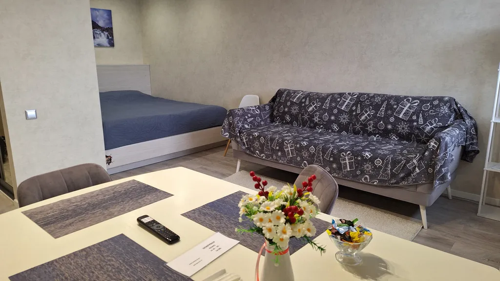 Уютная студия в центре города