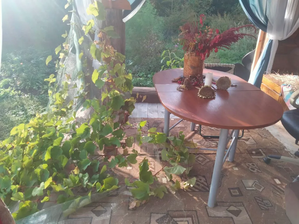 Уютный гостевой дом в поместье Большое небо в экопоселении