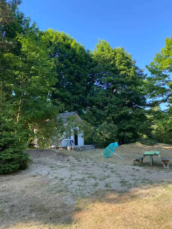 Домик целиком в лесу на берегу залива