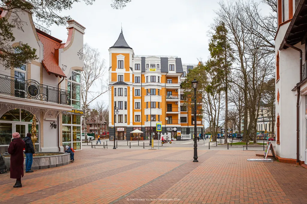 Фиола на холме