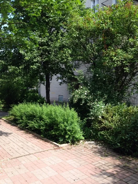 Квартира Удобная квартира в самом центре — Пушкин