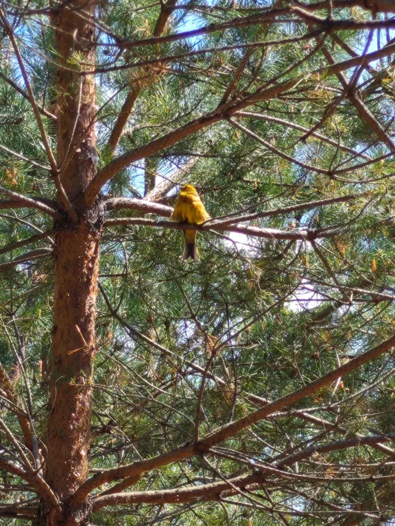 Новый дом на озере Селигер