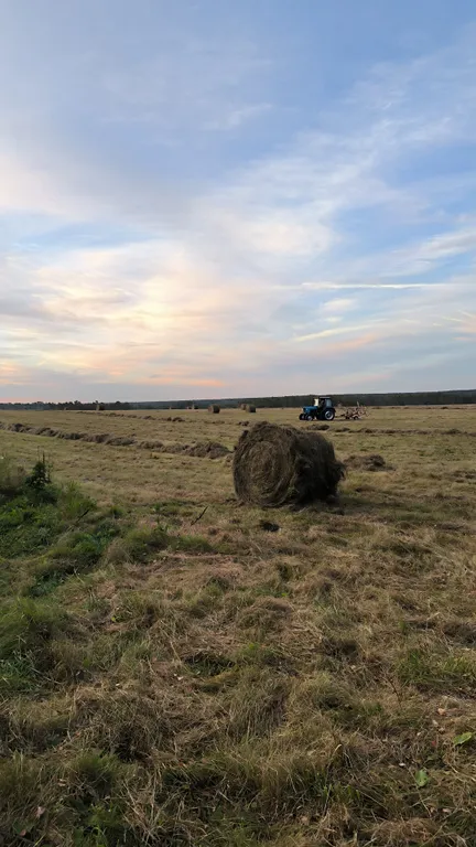 Эко-домики с русской баней Медвежье Урочище