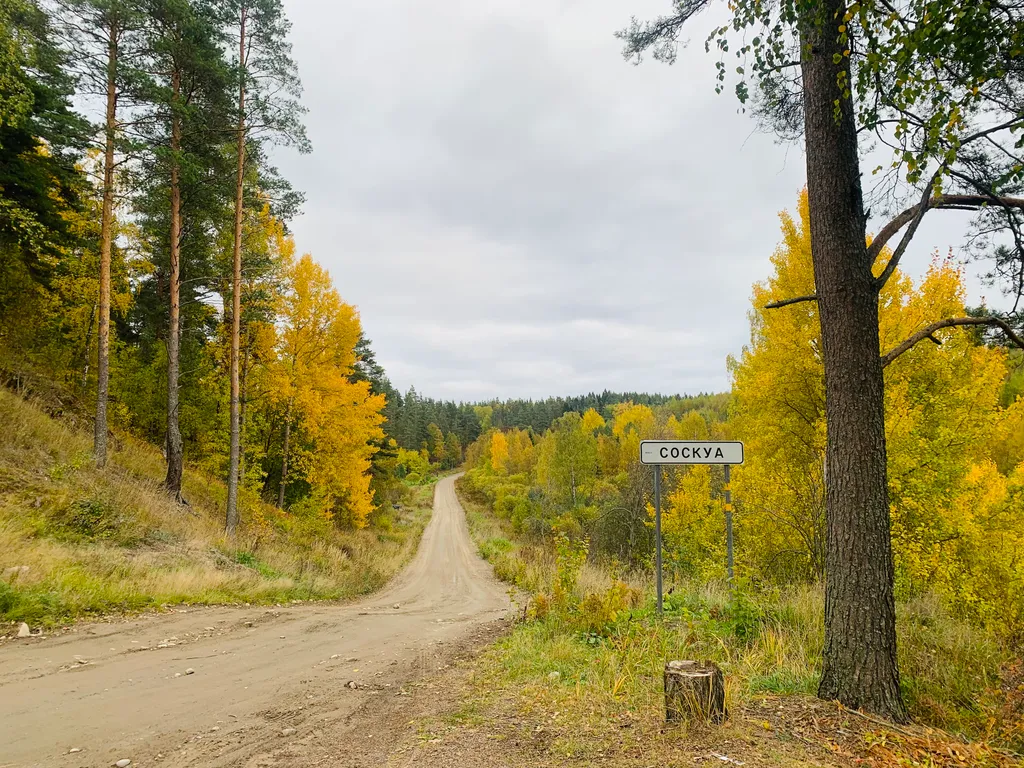 Частный Березовый дом