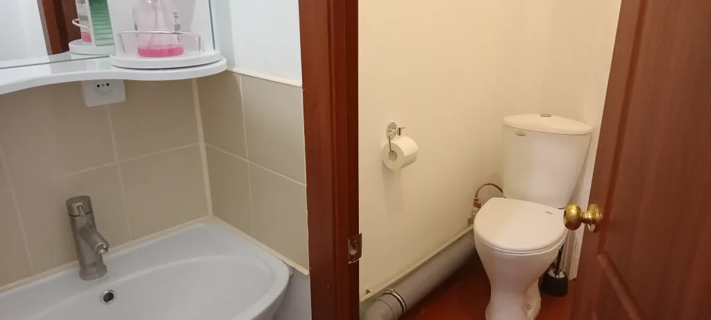 Двушка в старинном особняке у самого парка с двумя балконами