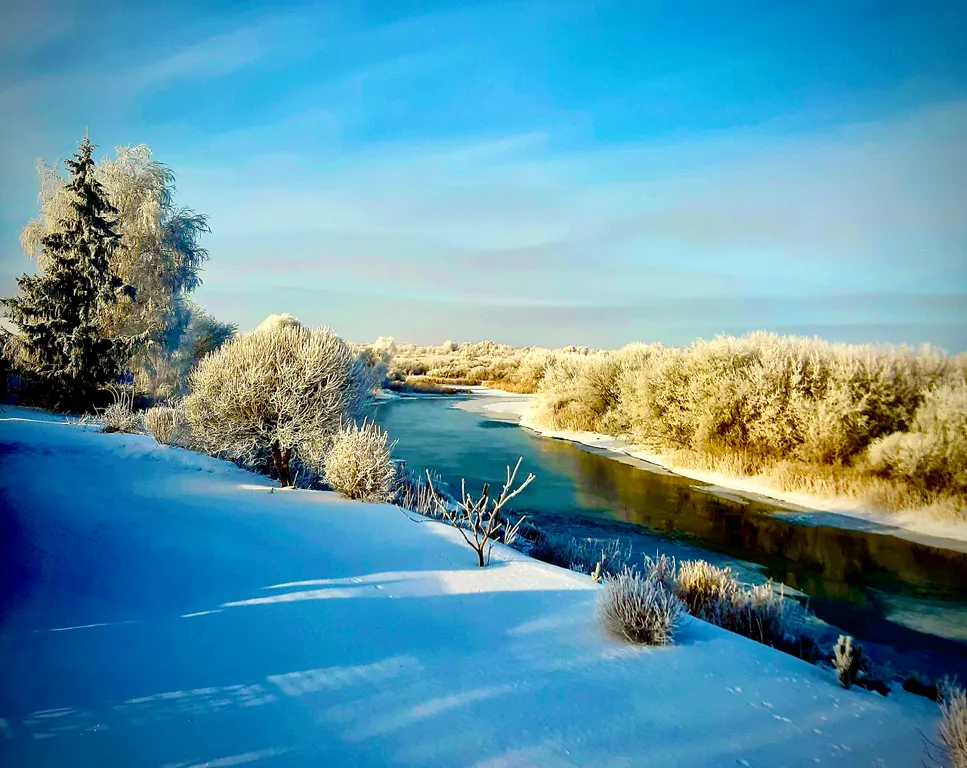 Дом и баня на берегу реки