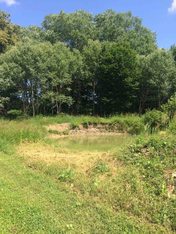 Чудесный дом в чудесном месте Беловежская пуща