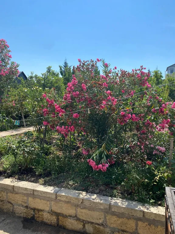 Уютный дом на берегу моря