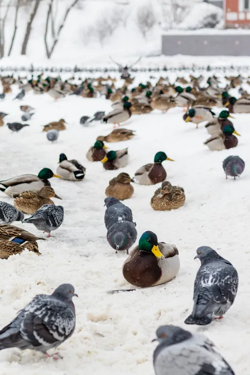 Апартаменты Синяя птица