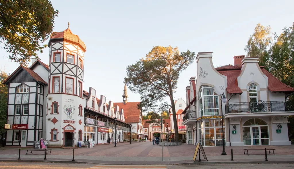 Фиола на холме