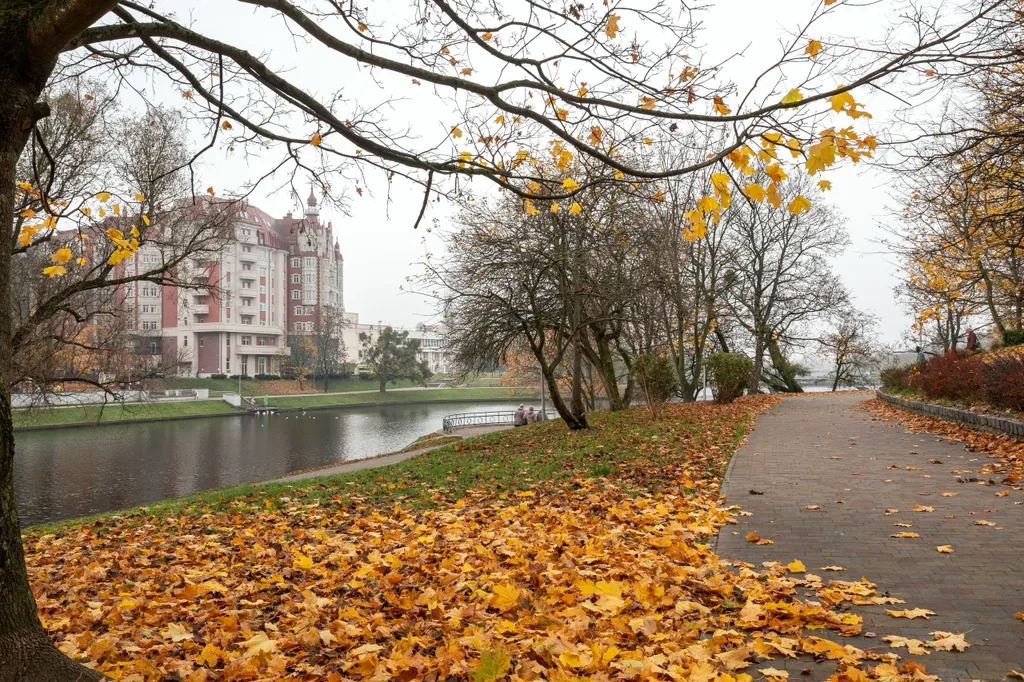 Квартира Castle pond aparts - квартира с видом на нижнее озеро — Калининград