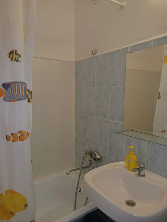 Квартира 1-комнатная Квартира — Пушкин